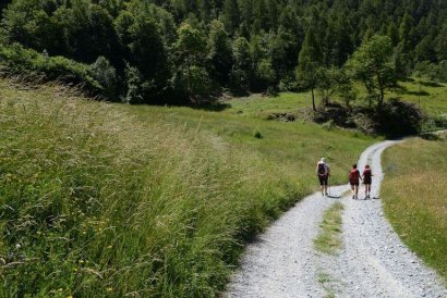 Monte Rosa Randò
