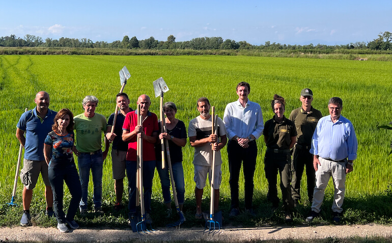 Cavaliere d’Italia