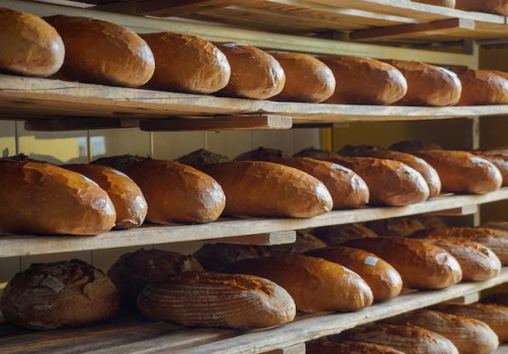 Pane fatto con il lievito madre naturale