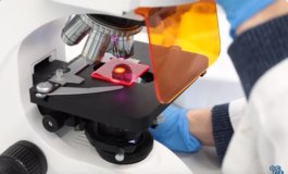 Con la plastica riciclata si possono fare i pannelli solari