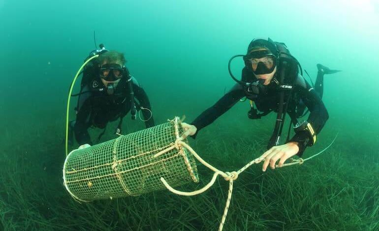 Una nuova tecnologia per recuperare le reti fantasma in mare