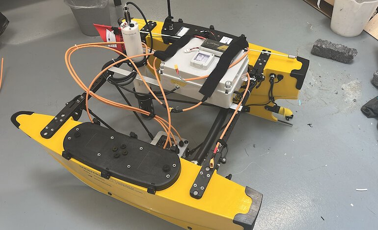 Il drone guardiano delle foreste blu