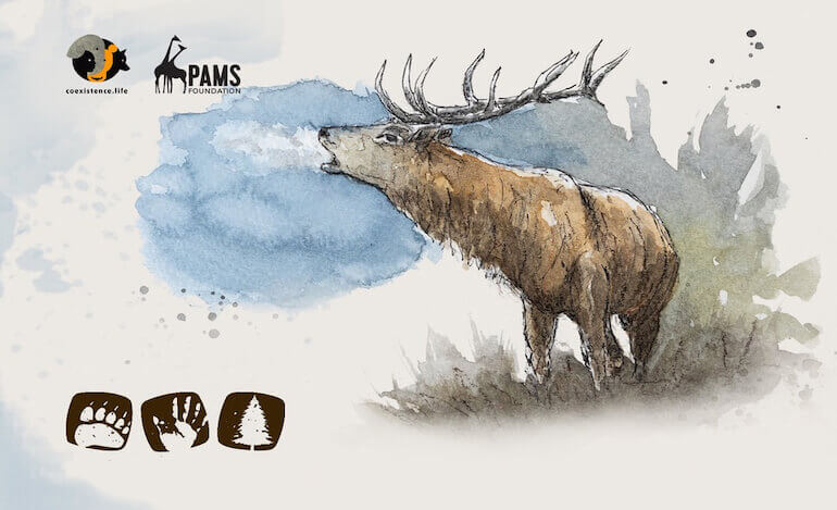 Si è concluso con successo il Coesistenza Festival 2025