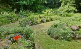 Il giardino sotto la roccia