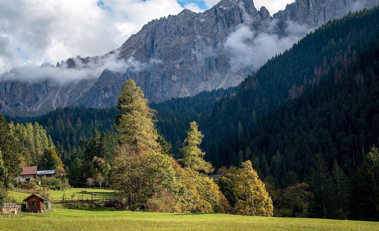Boschi culturali come monumenti nazionali