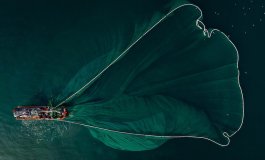La pesca a strascico riduce la biodiversità del Mediterraneo