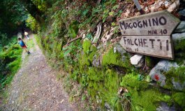 Sul lago Maggiore: il sentiero dei castagni