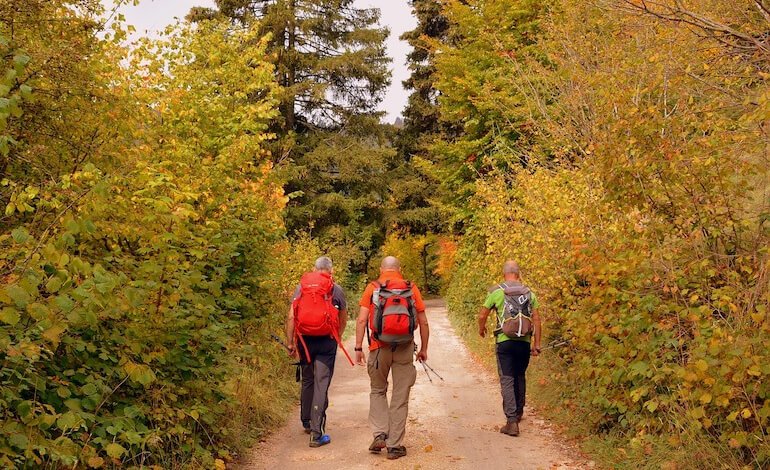Oltre 160 escursioni gratuite in tutta Italia con Cammina Natura 2025