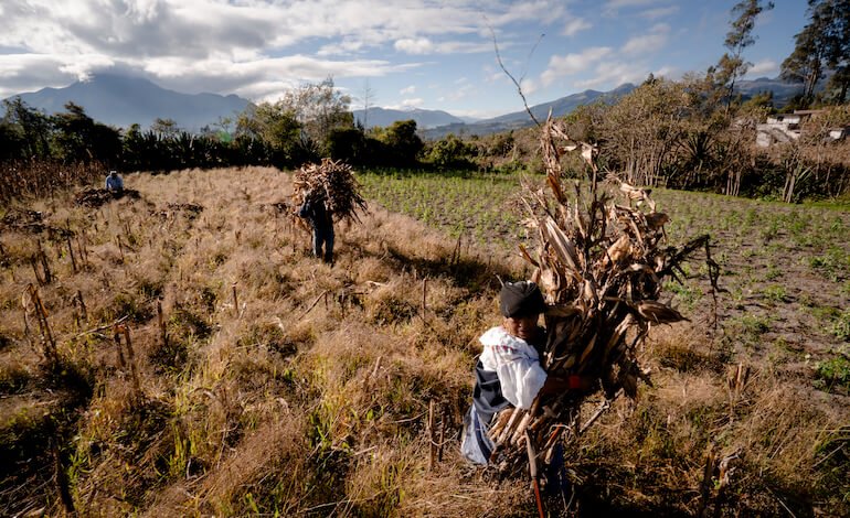 La Giornata Mondiale dell’Alimentazione