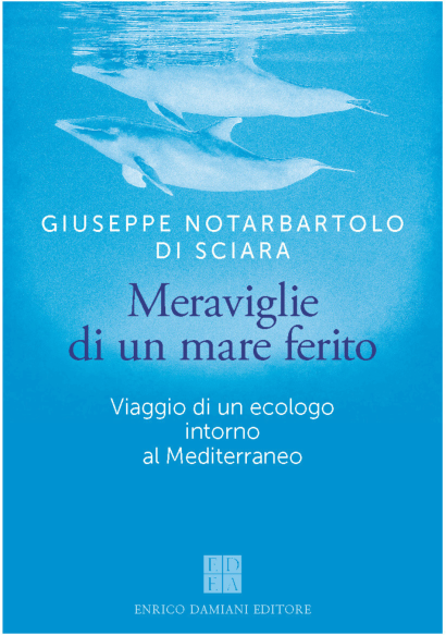 Meraviglie di un mare ferito
