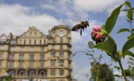 Urban Nature, oltre 100 appuntamenti in tutta Italia