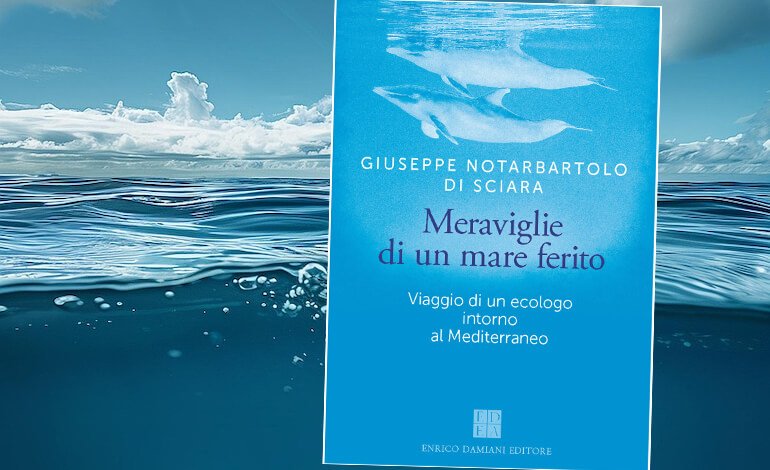 Viaggio di un ecologo intorno al Mediterraneo
