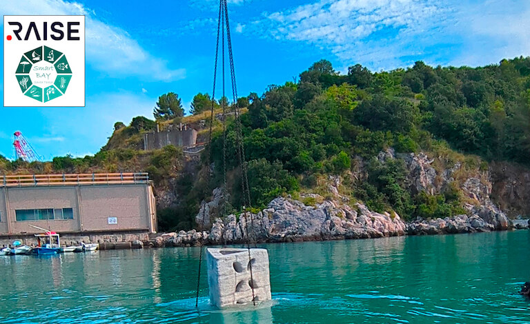 Installati i primi reef artificiali per rigenerare il mare