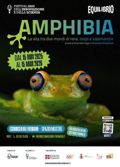 AMPHIBIA