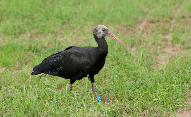 Benvenuti In Italia…