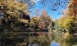 La natura di prossimità