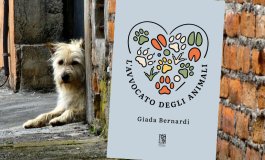 La battaglia quotidiana per dare voce a chi non ne ha