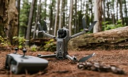 I droni sono un problema per la fauna selvatica?