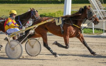 No ai concerti di Jovanotti negli ippodromi!