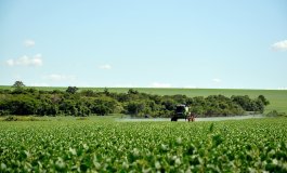 Il Brasile “si consuma” per la carne della Cina