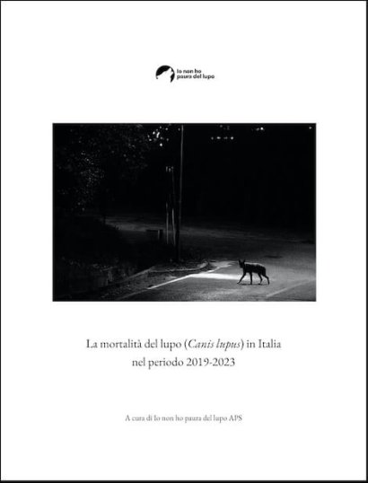lupo ucciso