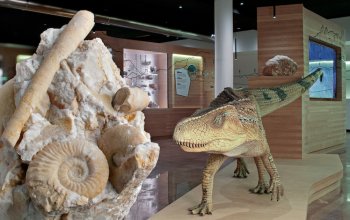 Nel villaggio preistorico