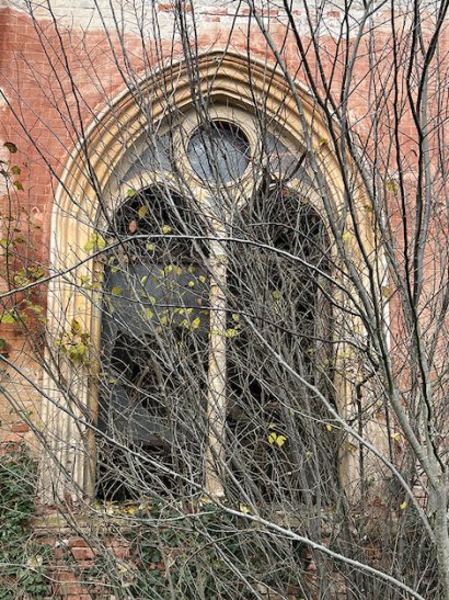 limonaia
