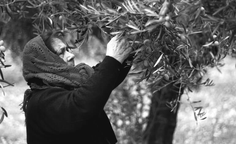 Dalle madri la verità sulla Sicilia