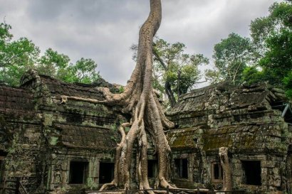 Ta Prohm