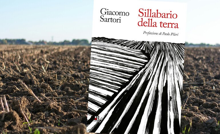 Il suolo, il nostro alleato più prezioso