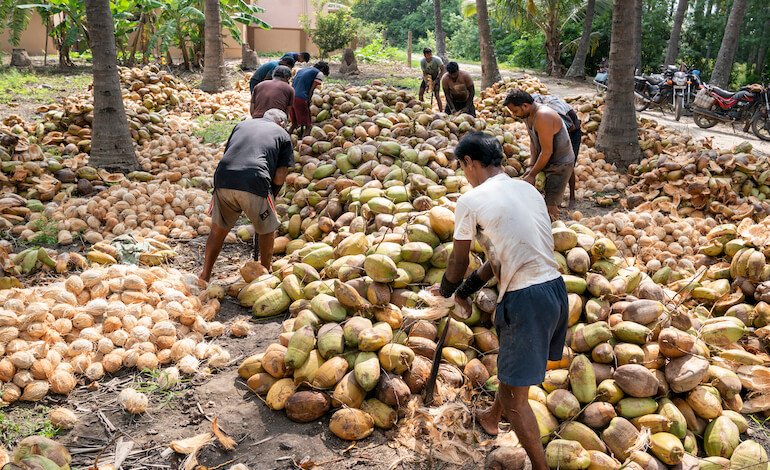 Il 74% dei terreni agricoli è degradato
