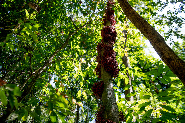 notizie per l'ambiente