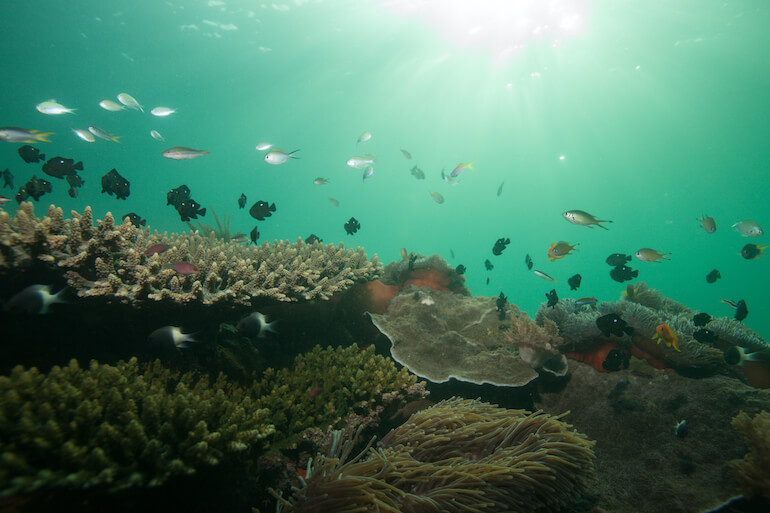 notizie per l'ambiente