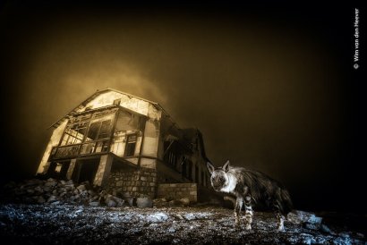 grandi fotografi