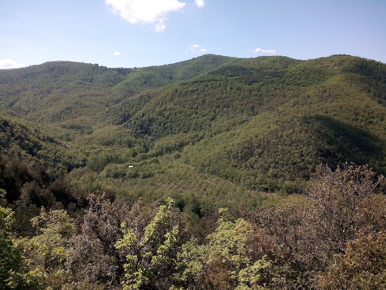 Bosco delle Sette Valli