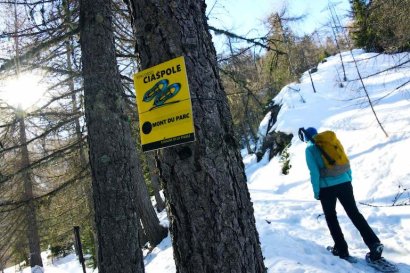 Mont du Parc