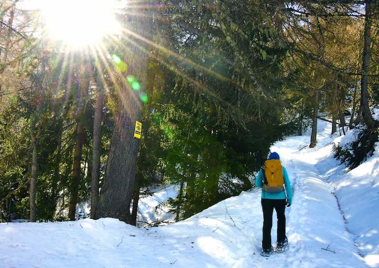 Mont du Parc