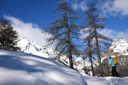 Mont du Parc