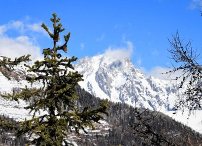 Mont du Parc