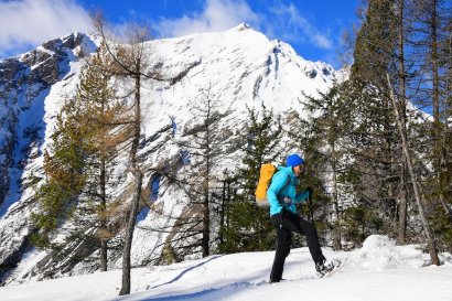 Mont du Parc