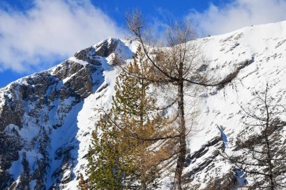 Mont du Parc
