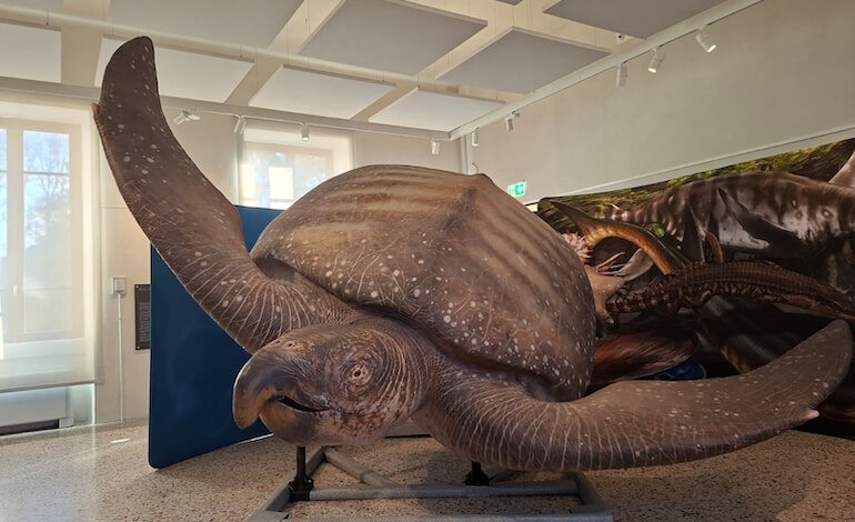 A Pavia, le “Olimpiadi della Preistoria”