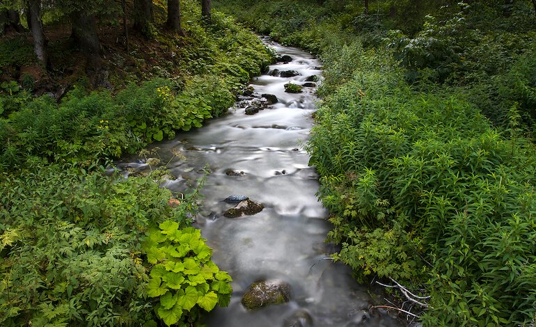Clima e struttura del paesaggio
