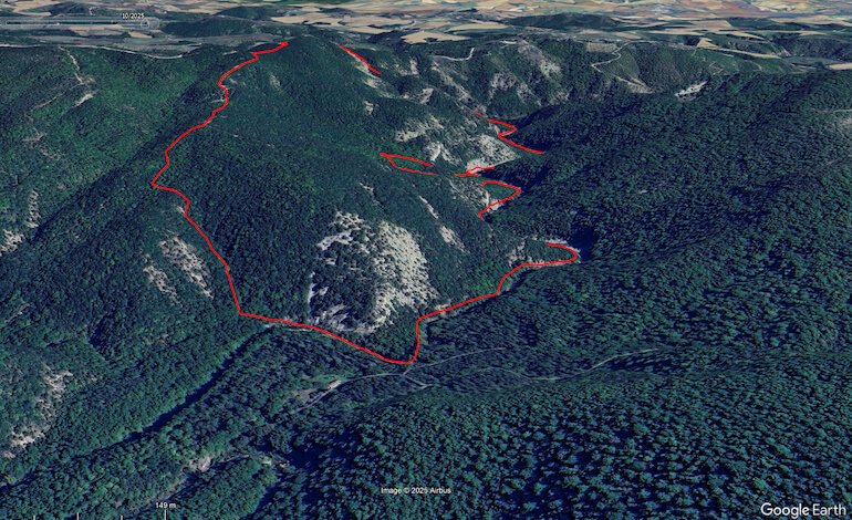 Protetto per sempre il Bosco delle Sette Valli