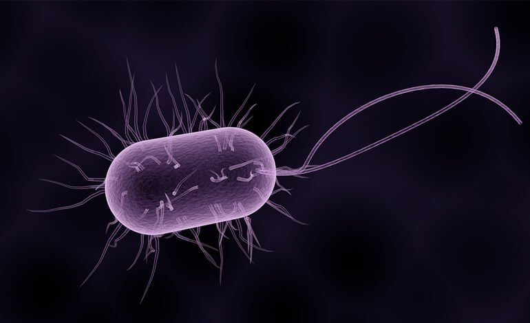 La vita dei microbi in condizioni estreme