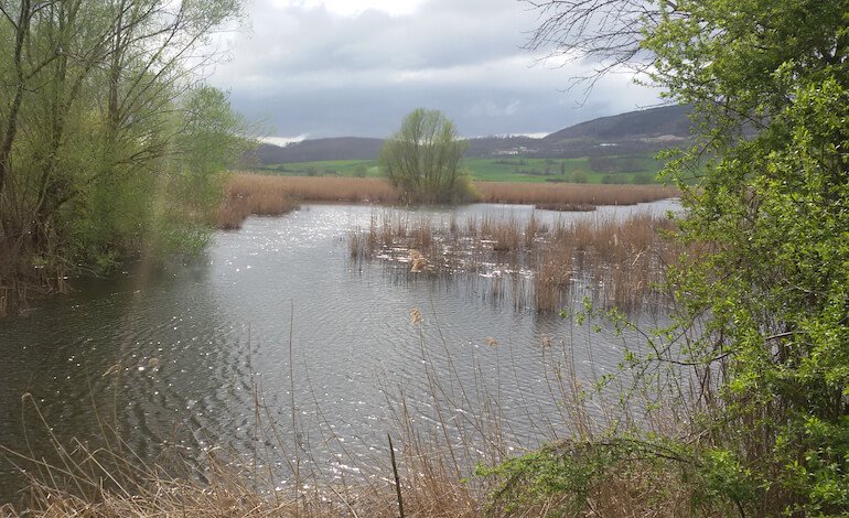 Il 40% delle zone umide in Italia è a rischio