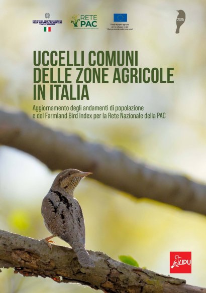uccelli nelle aree agricole