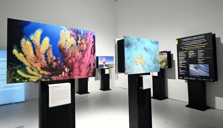 “Il paese della biodiversità. Il patrimonio naturale italiano”