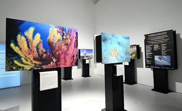 “Il paese della biodiversità. Il patrimonio naturale italiano”