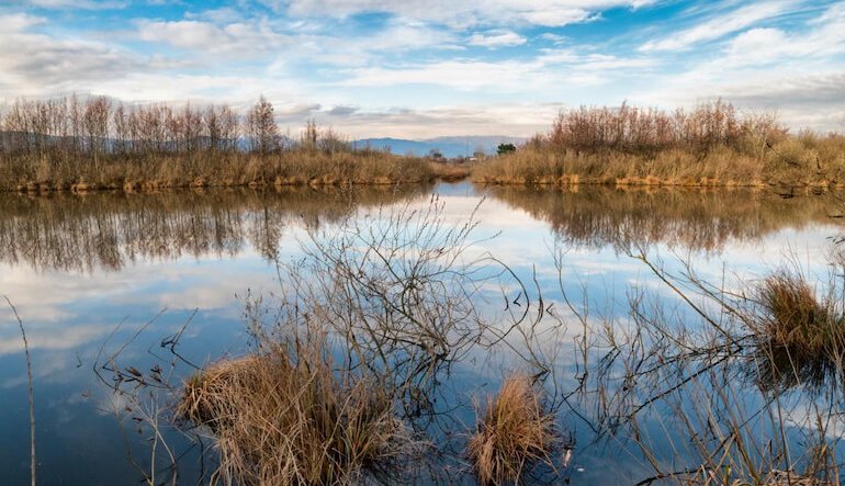 Il paesaggio toscano ci racconta come l'uomo modella l’ambiente